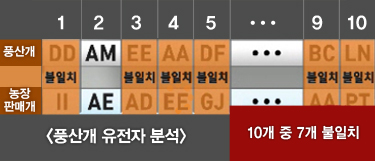 풍산개 유전자 분석